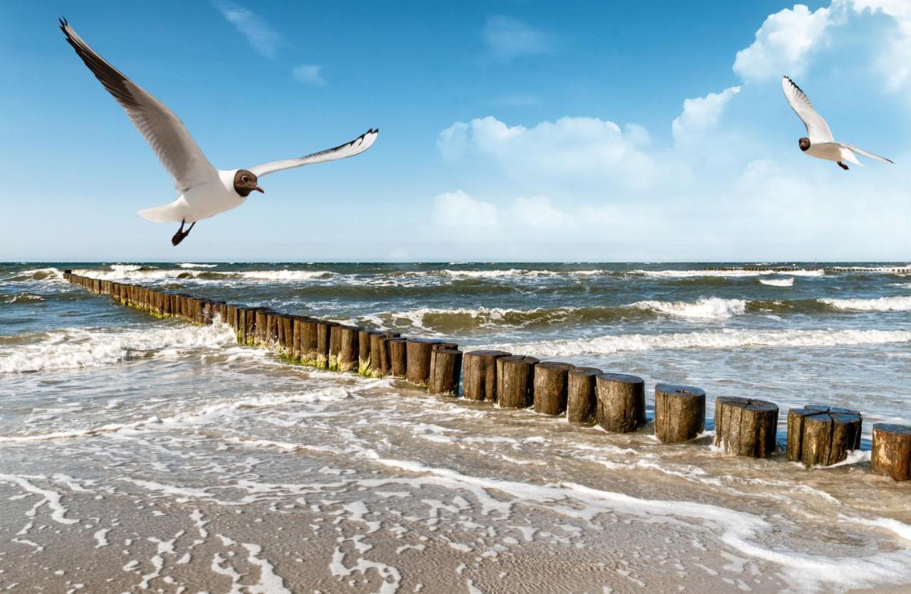 Haus Am Meer Whg 46 Westerland Ngoại thất bức ảnh